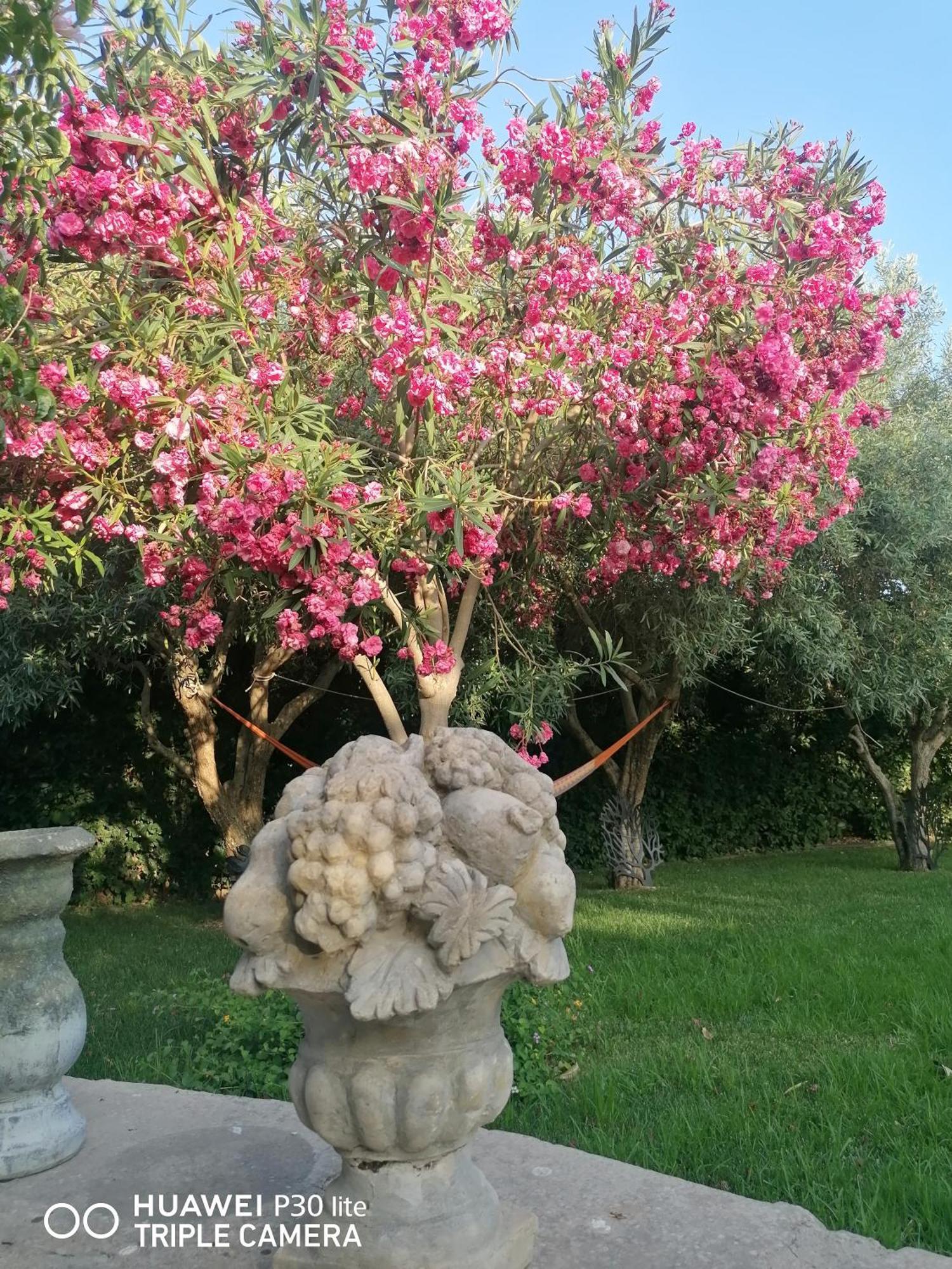 Oasi Di Campagna Hotel Modica Exterior foto